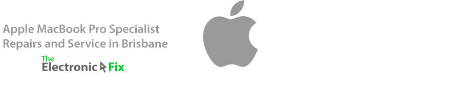 Apple Inc brand logo